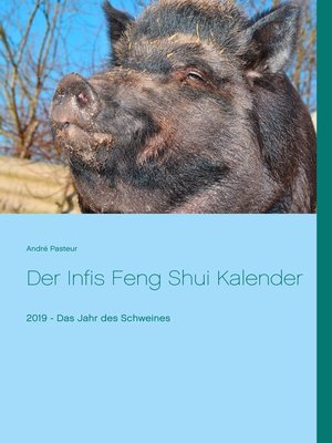cover image of Der Infis Feng Shui Kalender